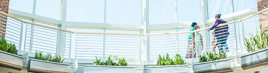 Reports banner