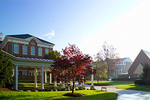 hollins_university_thumbnail
